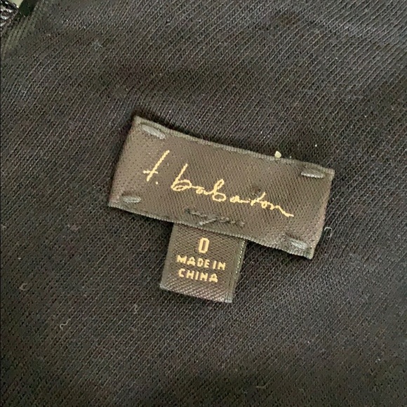 Aritzia Babaton Rafael Lace Dress - Picture 4 of 4